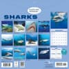 image Sharks 2027 Wall Calendar First Alternate Image