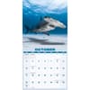 image Sharks 2027 Wall Calendar Fourth Alternate Image