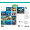 image WWF Sea Turtles 2027 Wall Calendar First Alternate Image