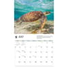image WWF Sea Turtles 2027 Wall Calendar Third Alternate Image