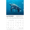 image WWF Sea Turtles 2027 Wall Calendar Fourth Alternate Image