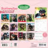 image Rottweiler Puppies 2027 Wall Calendar First Alternate Image