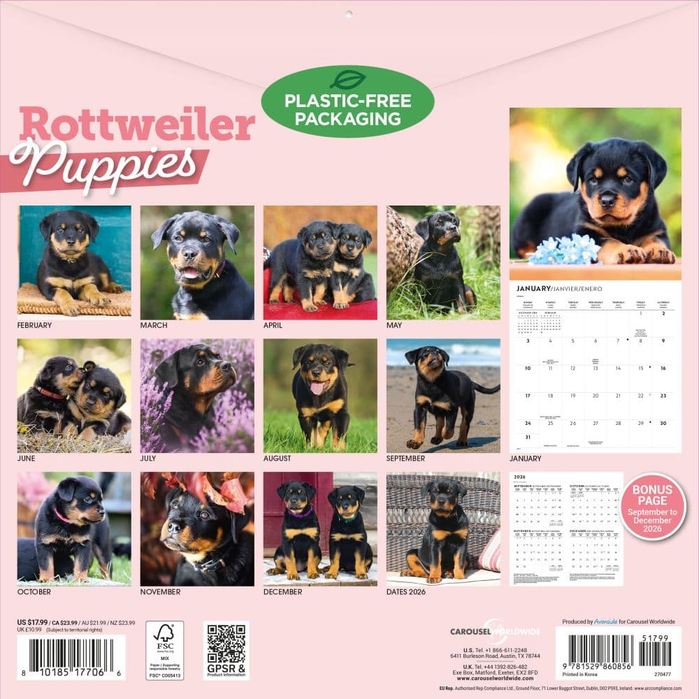 Rottweiler Puppies 2027 Wall Calendar First Alternate Image
