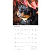 image Rottweiler Puppies 2027 Wall Calendar Fourth Alternate Image