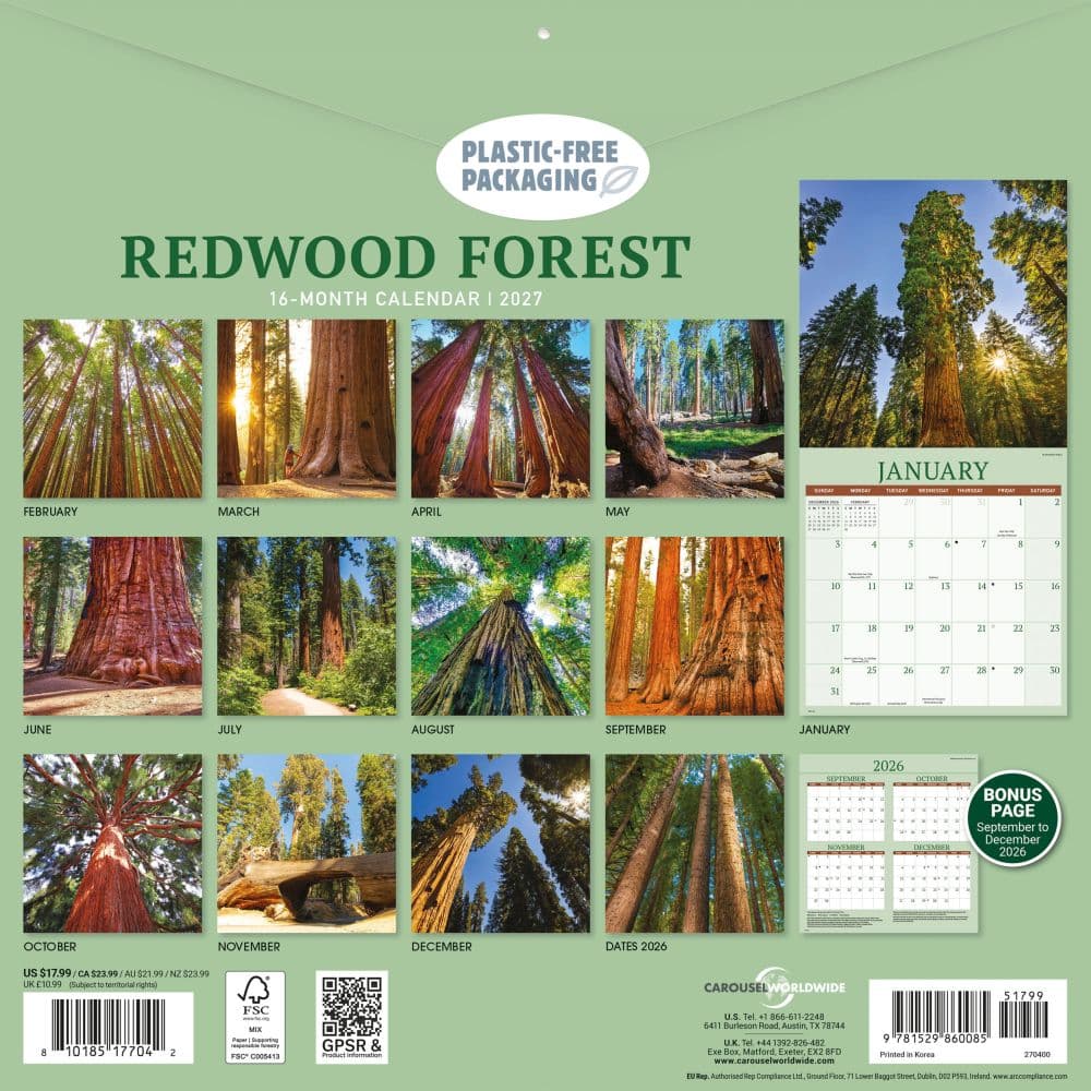 Redwood Forest 2027 Wall Calendar First Alternate Image