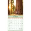 image Redwood Forest 2027 Wall Calendar Second Alternate Image