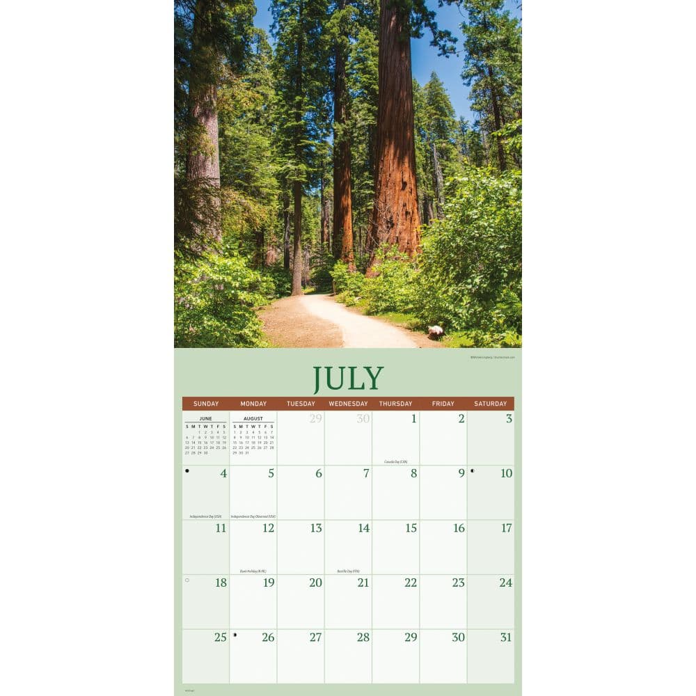 Redwood Forest 2027 Wall Calendar Third Alternate Image