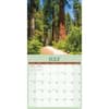 image Redwood Forest 2027 Wall Calendar Third Alternate Image