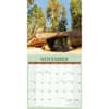 image Redwood Forest 2027 Wall Calendar Fourth Alternate Image