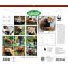 image WWF Red Pandas 2027 Wall Calendar First Alternate Image