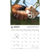 image WWF Red Pandas 2027 Wall Calendar Second Alternate Image