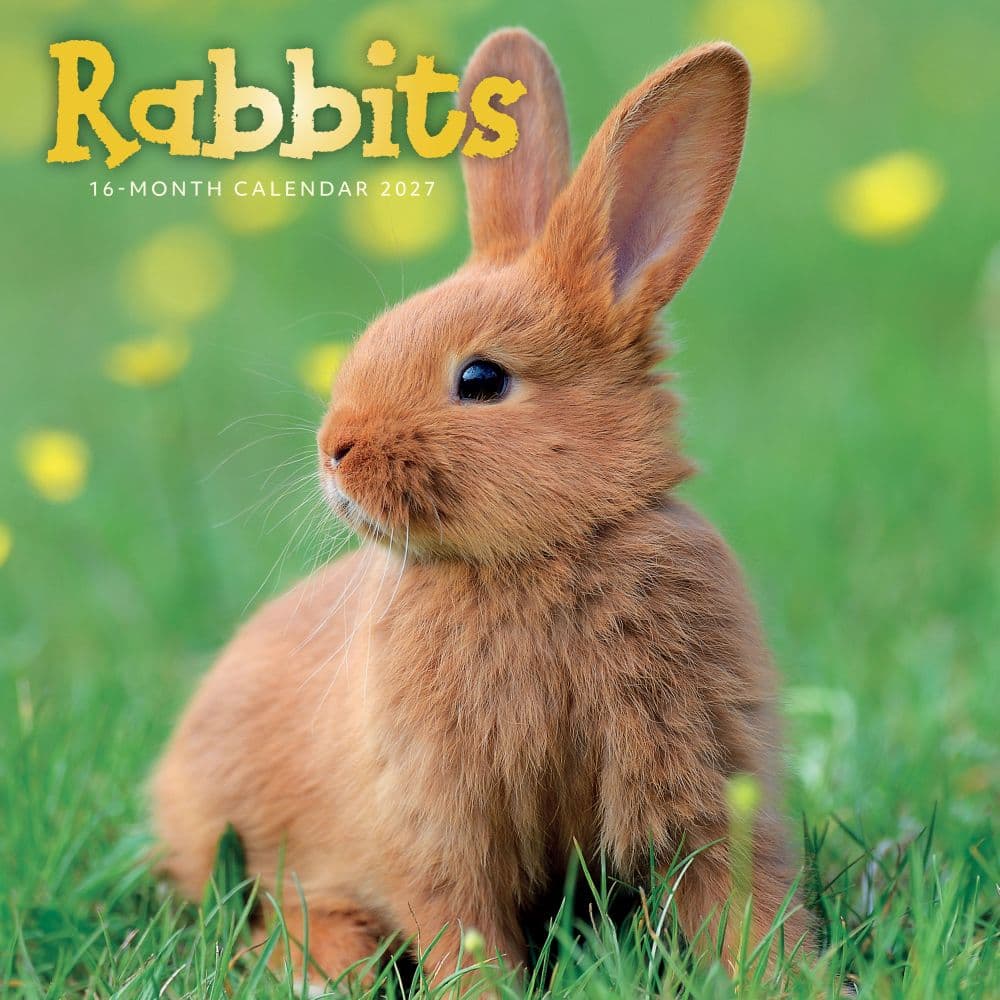 Rabbits 2027 Wall Calendar Main Product Image