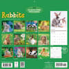 image Rabbits 2027 Wall Calendar First Alternate Image