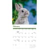 image Rabbits 2027 Wall Calendar Second Alternate Image