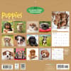 image Puppies 2027 Wall Calendar First Alternate Image