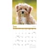image Puppies 2027 Wall Calendar Third Alternate Image