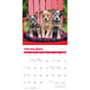 image Puppies 2027 Wall Calendar Fourth Alternate Image