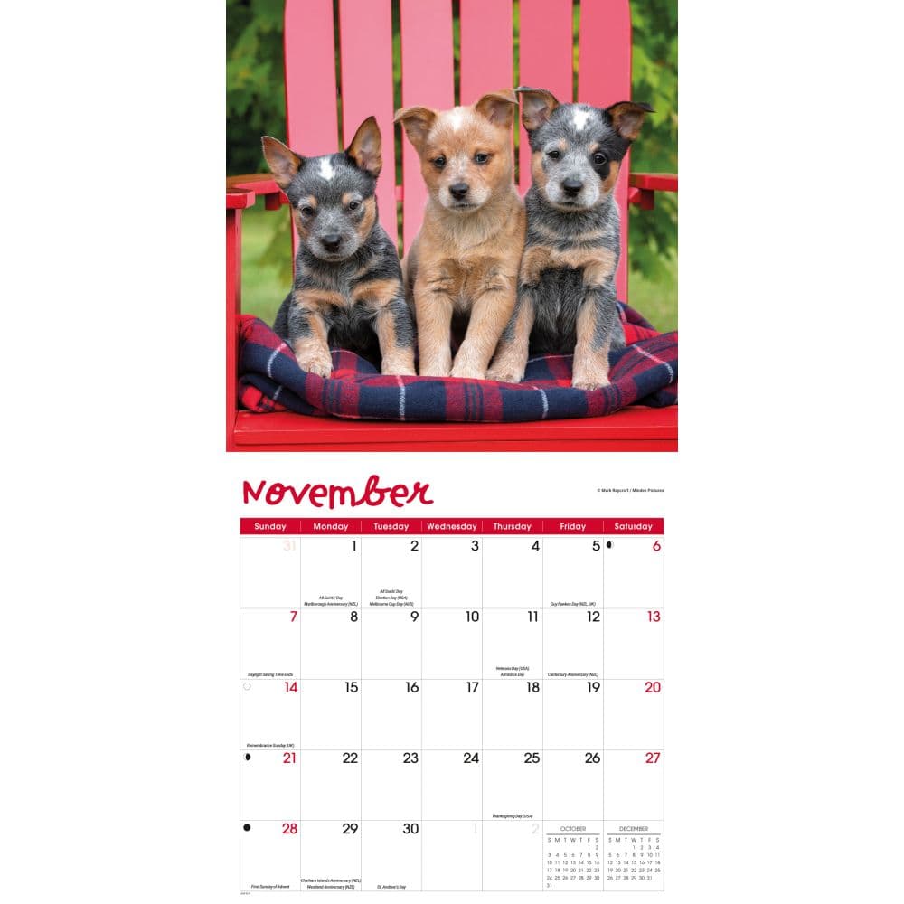 Puppies 2027 Wall Calendar Fourth Alternate Image