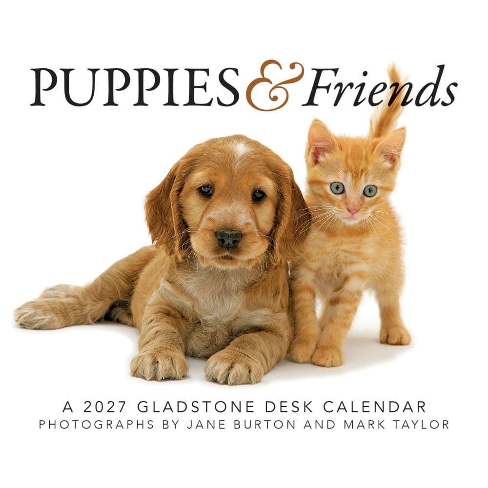 image Puppies and Friends 2027 Desk Calendar Main Product Image