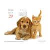 image Puppies and Friends 2027 Desk Calendar Third Alternate Image