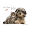 image Puppies and Friends 2027 Desk Calendar Fourth Alternate Image