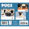 image Pugs 2027 Desk Calendar First Alternate Image