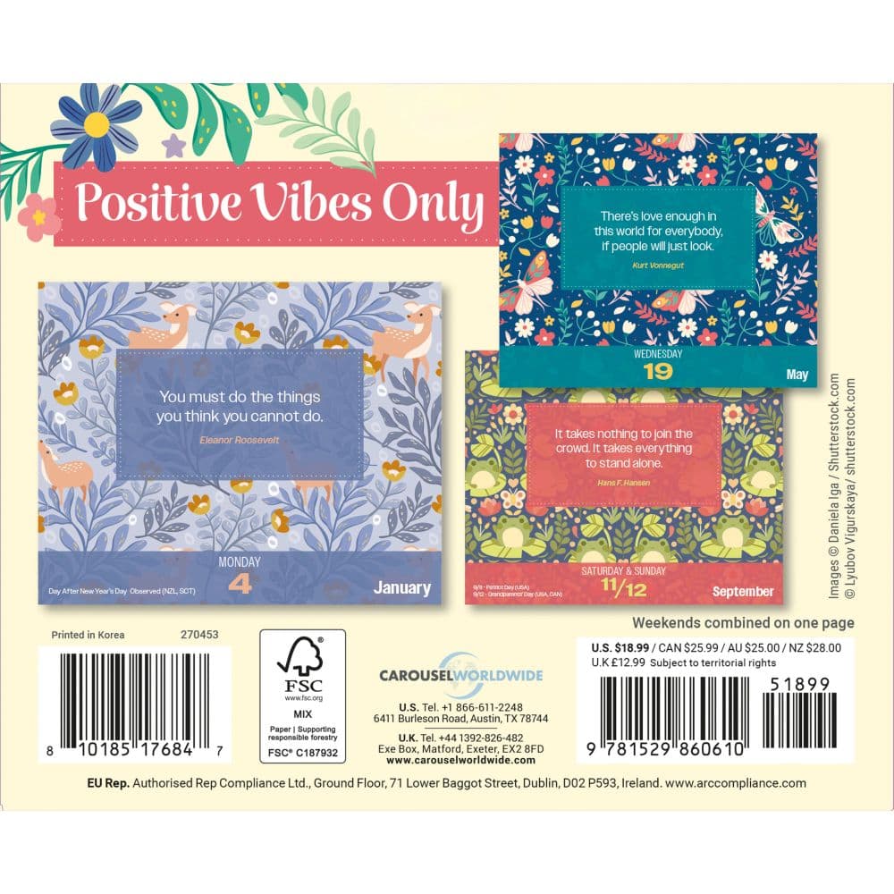 Positivity Vibes Only 2027 Desk Calendar First Alternate Image