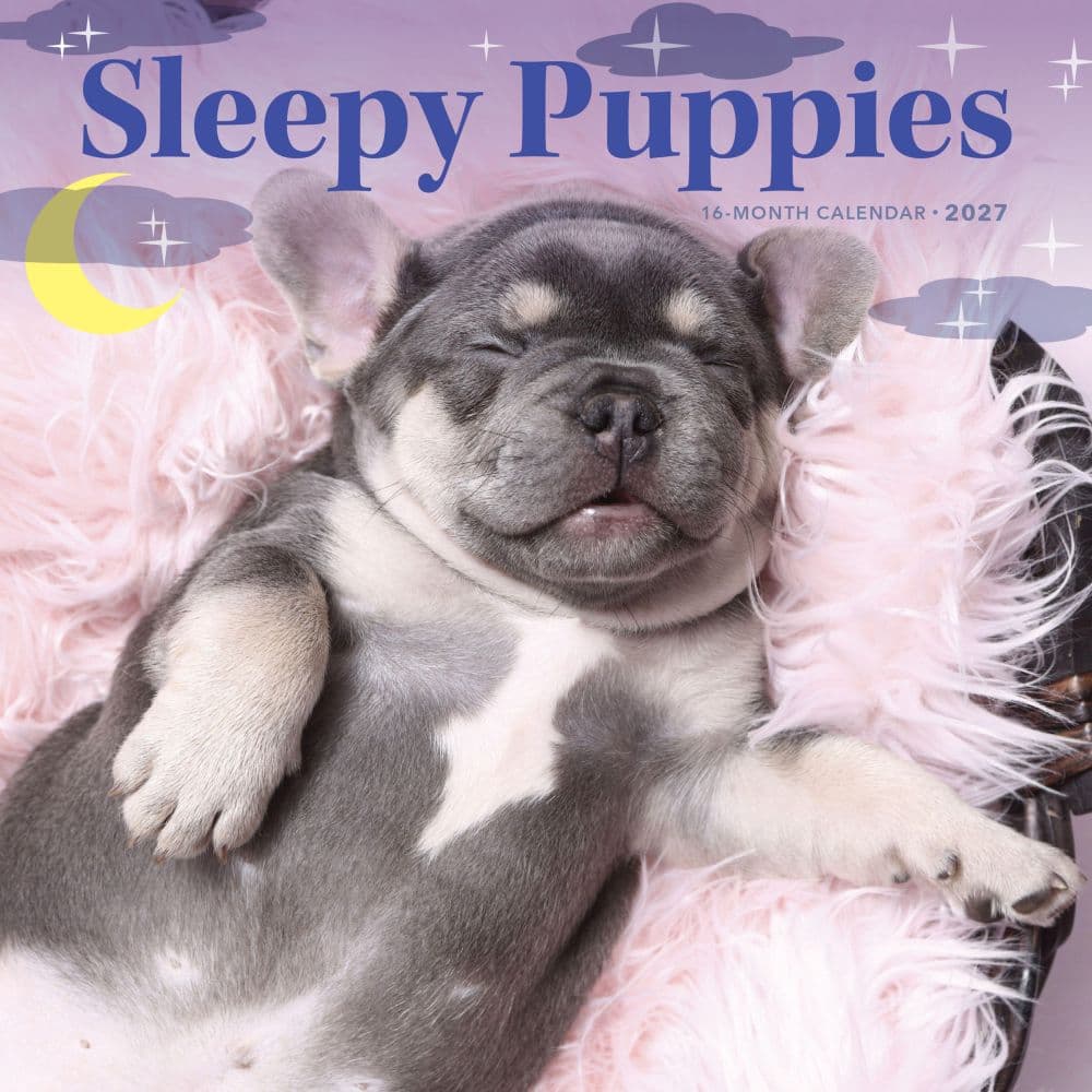 Sleepy Puppies 2027 Mini Wall Calendar Main Product Image