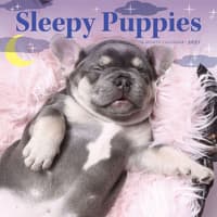 image Sleepy Puppies 2027 Mini Wall Calendar Main Product Image