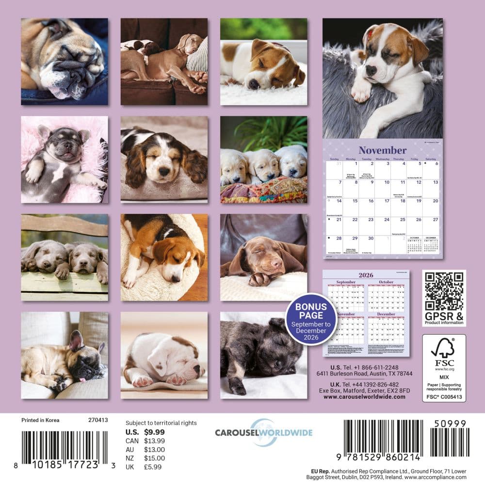 Sleepy Puppies 2027 Mini Wall Calendar First Alternate Image