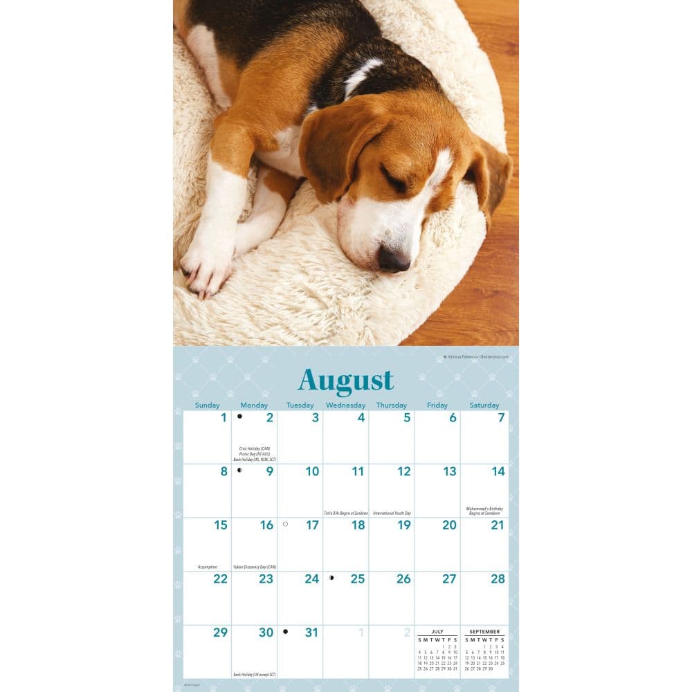 Sleepy Puppies 2027 Mini Wall Calendar Third Alternate Image