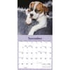 image Sleepy Puppies 2027 Mini Wall Calendar Fourth Alternate Image