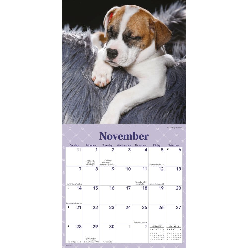 Sleepy Puppies 2027 Mini Wall Calendar Fourth Alternate Image