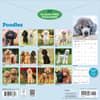 image Poodles 2027 Wall Calendar First Alternate Image
