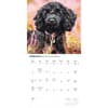 image Poodles 2027 Wall Calendar Second Alternate Image