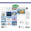 image WWF Polar Bears 2027 Wall Calendar First Alternate Image