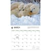image WWF Polar Bears 2027 Wall Calendar Second Alternate Image
