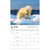 image WWF Polar Bears 2027 Wall Calendar Third Alternate Image