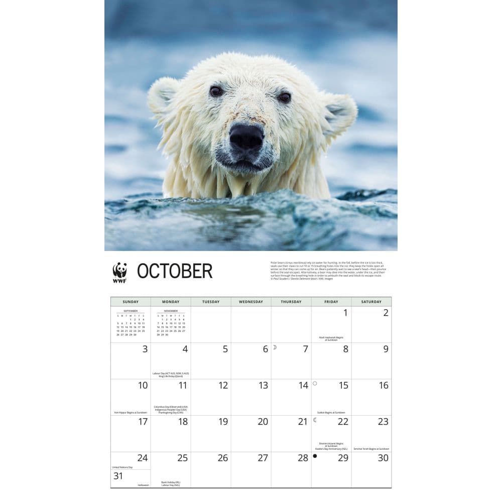 WWF Polar Bears 2027 Wall Calendar Fourth Alternate Image