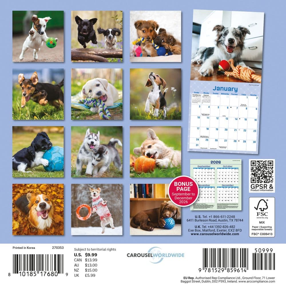 Playful Puppies 2027 Mini Wall Calendar First Alternate Image