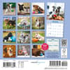 image Playful Puppies 2027 Mini Wall Calendar First Alternate Image