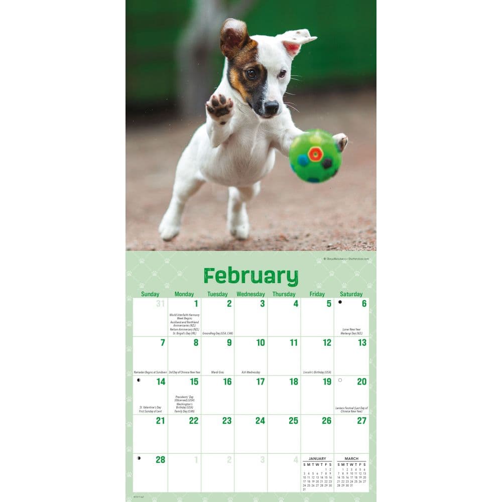 Playful Puppies 2027 Mini Wall Calendar Second Alternate Image