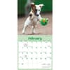 image Playful Puppies 2027 Mini Wall Calendar Second Alternate Image