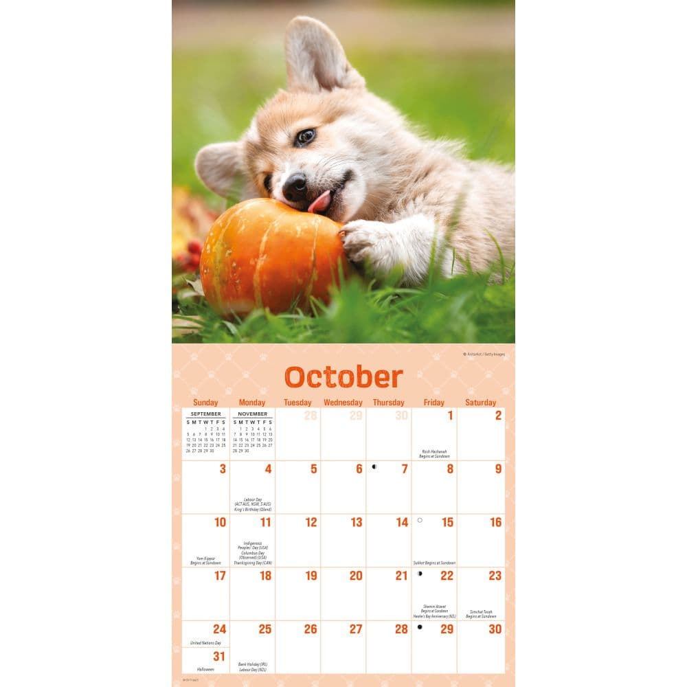 Playful Puppies 2027 Mini Wall Calendar Fourth Alternate Image