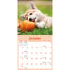 image Playful Puppies 2027 Mini Wall Calendar Fourth Alternate Image
