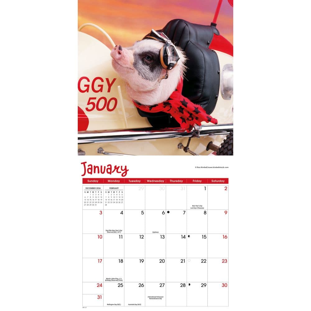 Pigs Playful 2027 Mini Wall Calendar Second Alternate Image