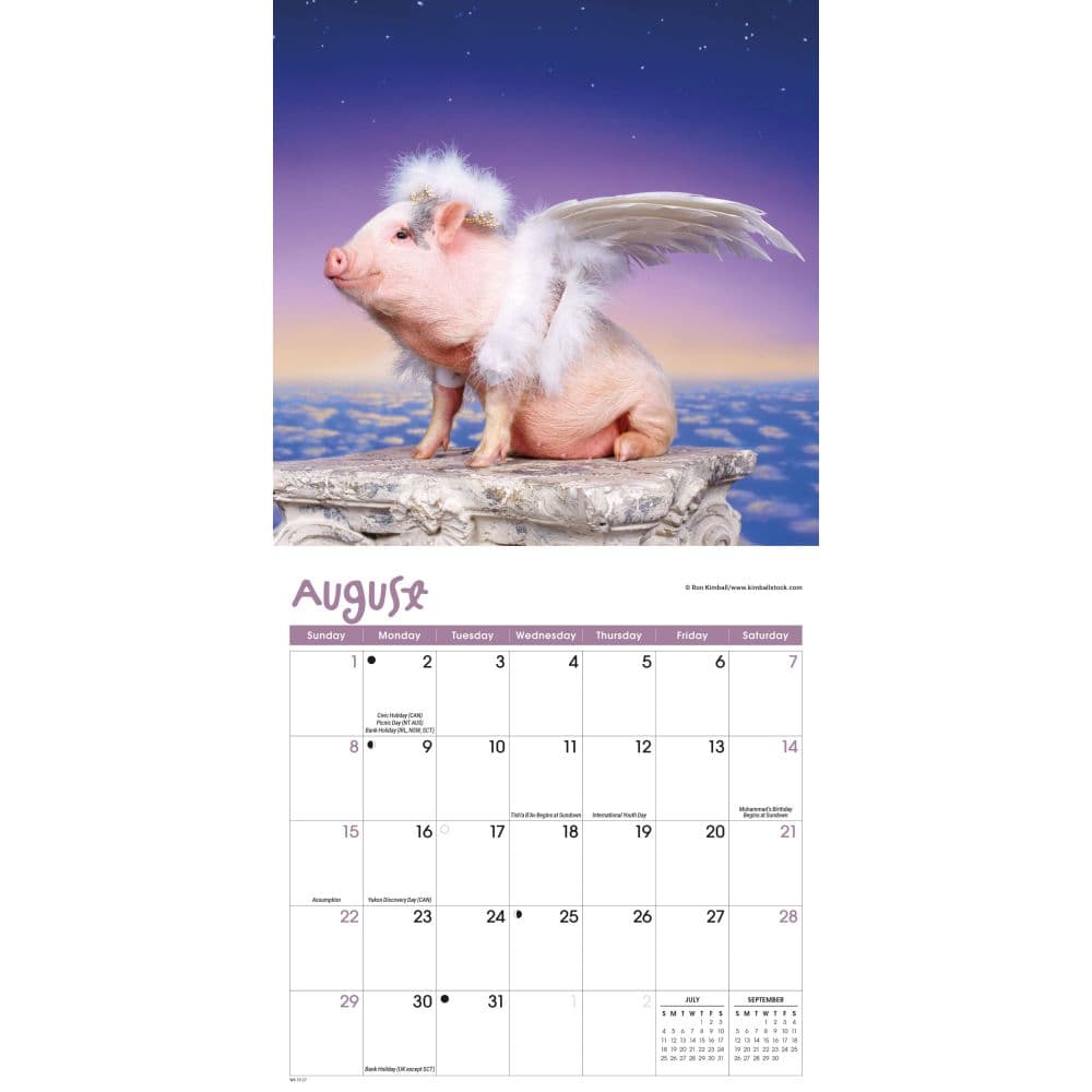 Pigs Playful 2027 Mini Wall Calendar Third Alternate Image