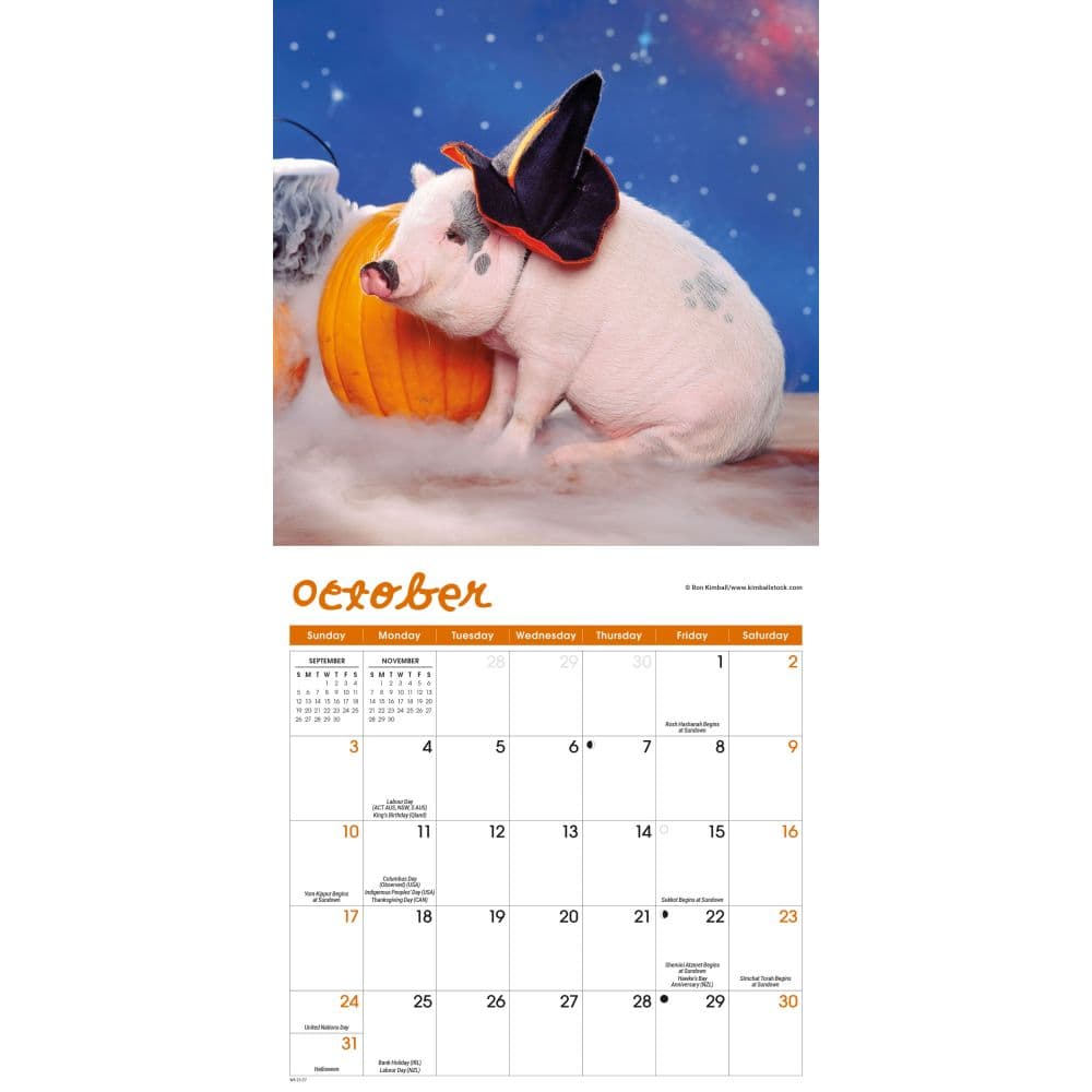 Pigs Playful 2027 Mini Wall Calendar Fourth Alternate Image