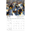 image WWF Penguins 2027 Wall Calendar Third Alternate Image