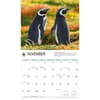 image WWF Penguins 2027 Wall Calendar Fourth Alternate Image
